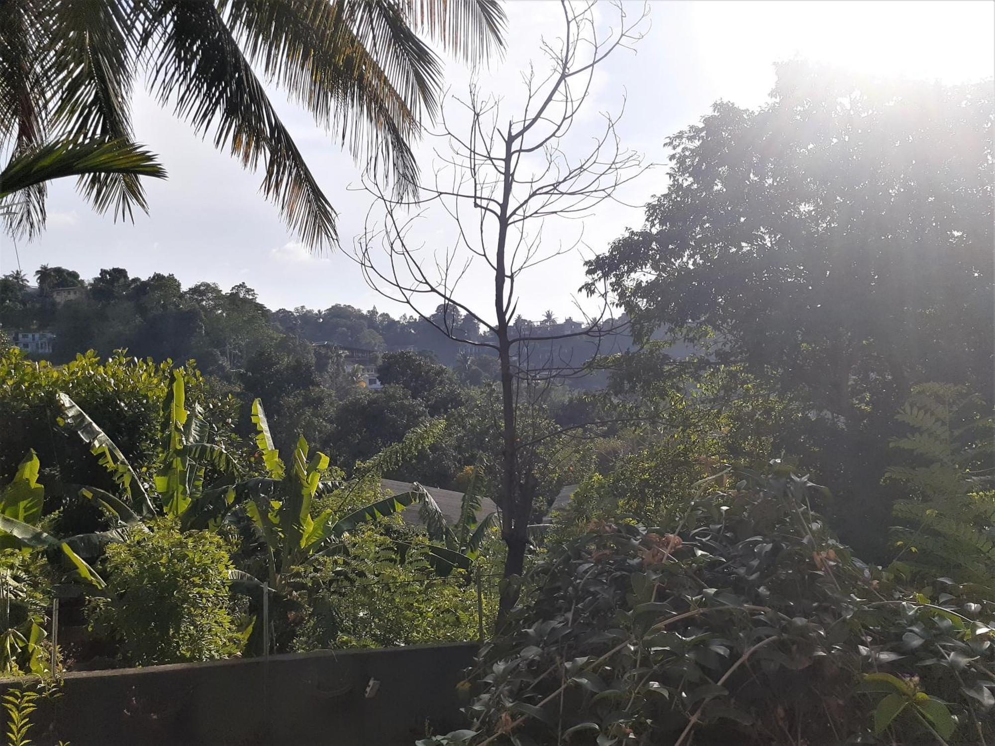 Kandy Mountain Cottage Exterior foto